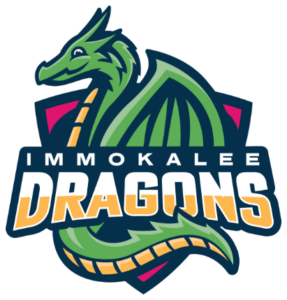 highlights caring front line workers ICA Dragons Logo