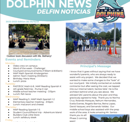 dolphin news may 15