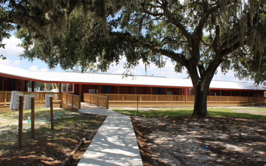 Mulberry cdc Mulberry cdc